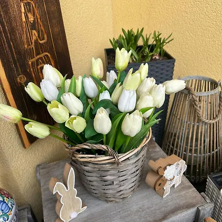 Vendégház Kunerad 3*